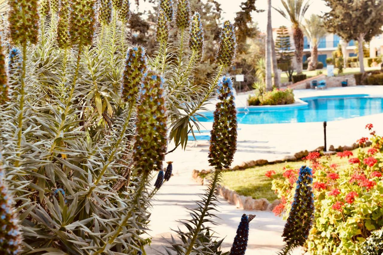 Paradise Gardens Mediterranean Home Paphos Exterior photo